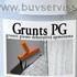 Gruntis