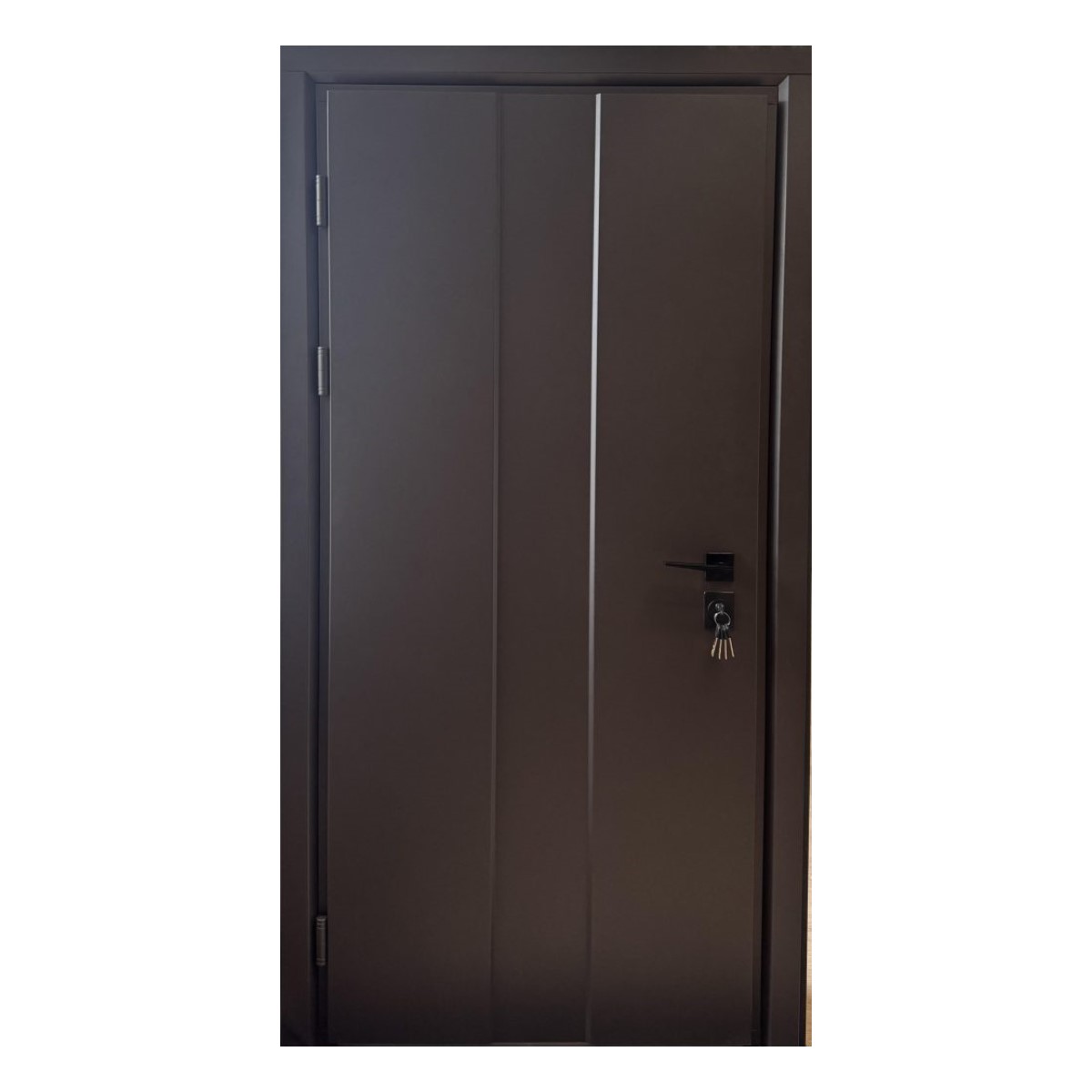 Delta Metāla ārdurvis ar kārbu, slēdzeni un eņģēm, brūnas, 860x2050mm, kreisās