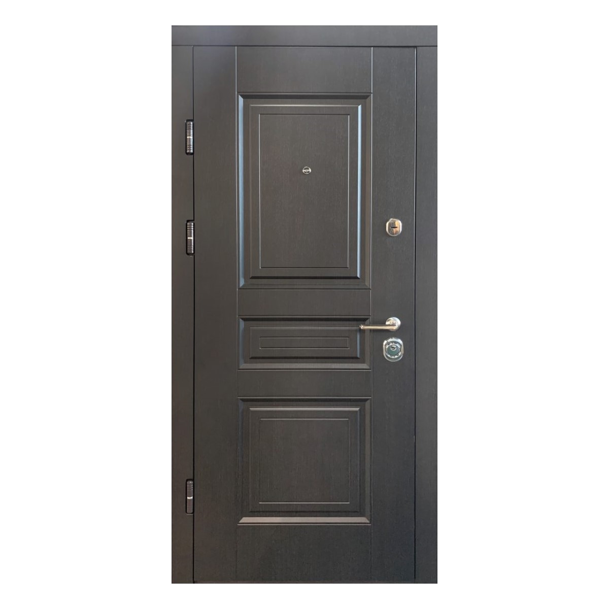 Zane Metāla ārdurvis ar kārbu, slēdzeni un eņģēm, brūnas, 860x2050mm, kreisās