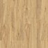 Armoury Oak