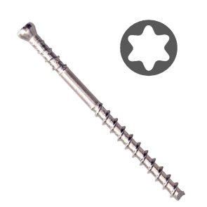 Camo skrūves terasēm A4, Torx15, 4.2x60mm (700gab)
